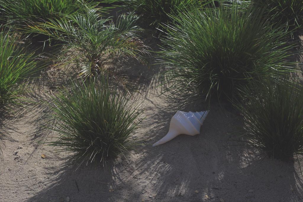 Two Bare Feet Διαμέρισμα Waihi Εξωτερικό φωτογραφία